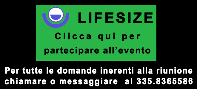 lifesize x assemblee